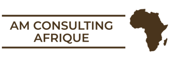 AM Consulting Afrique